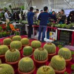 پنجمین نمایشگاه گل و گیاه در قزوین برگزار می شود